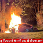 CNG car catches fire after hitting a tree, reduced to ashes in an instant.