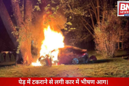 CNG car catches fire after hitting a tree, reduced to ashes in an instant.