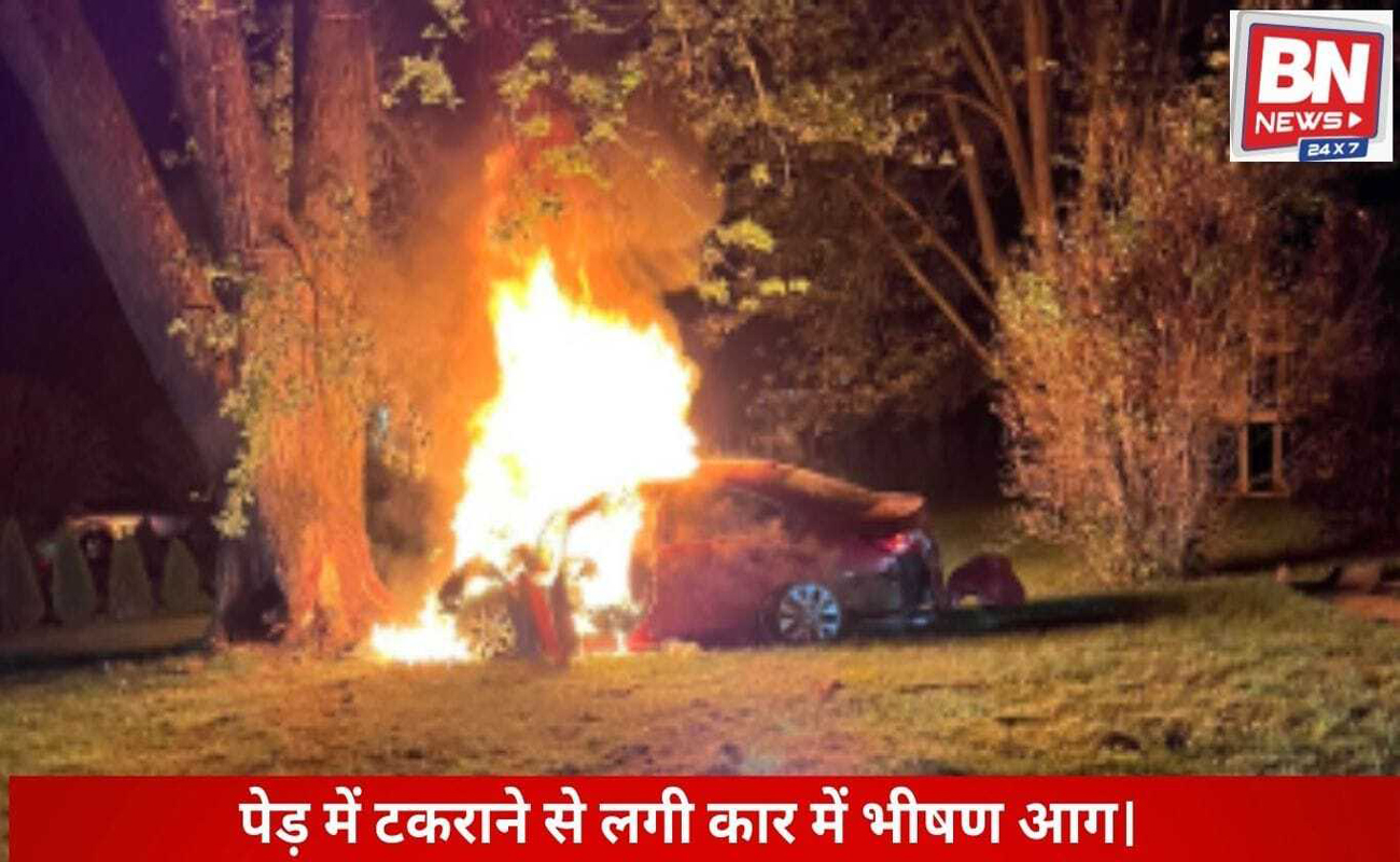 CNG car catches fire after hitting a tree, reduced to ashes in an instant.