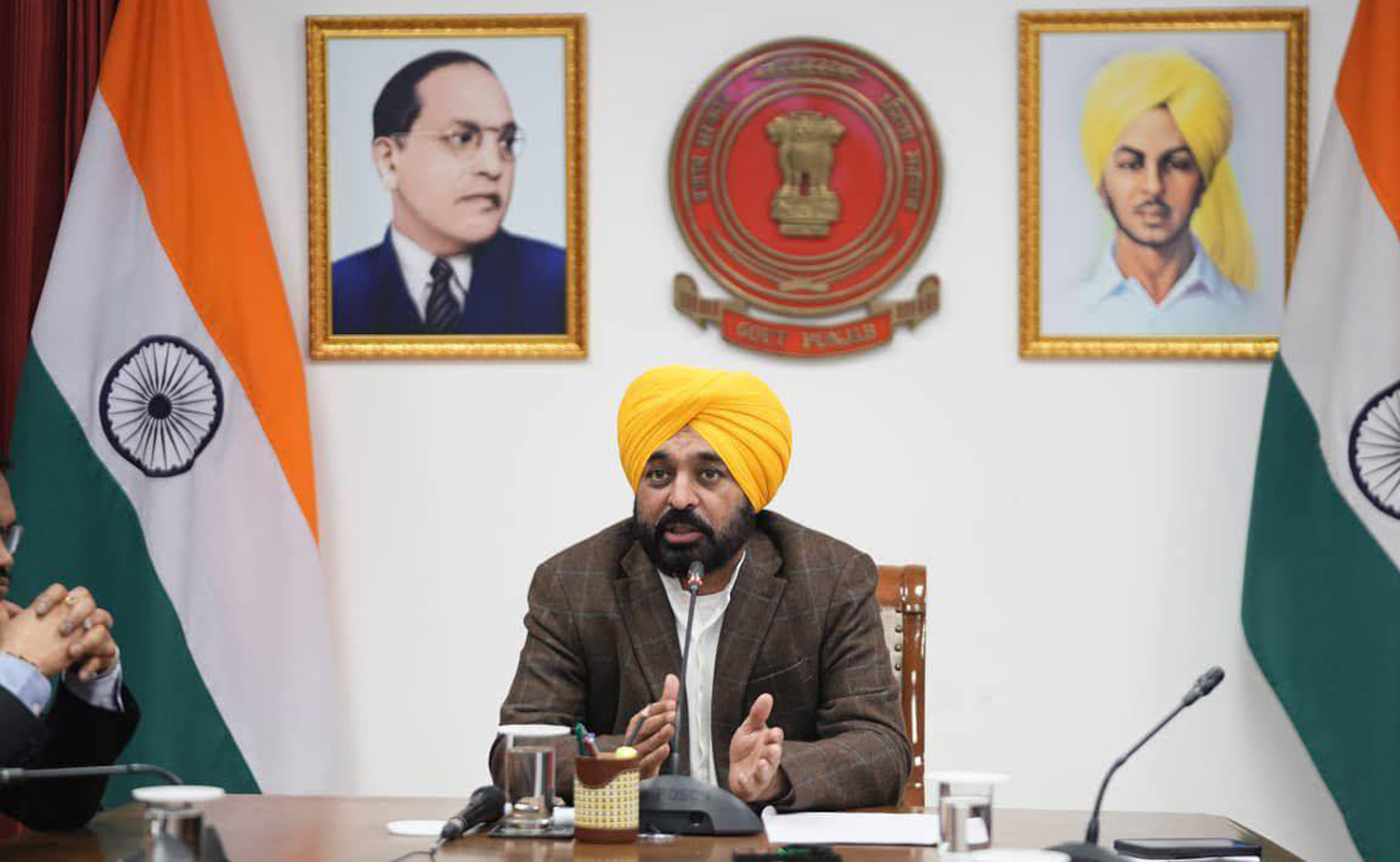 Punjab Cricket League to Be Launched on IPL Model to Engage Youth